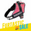 Personalized Dog Harness