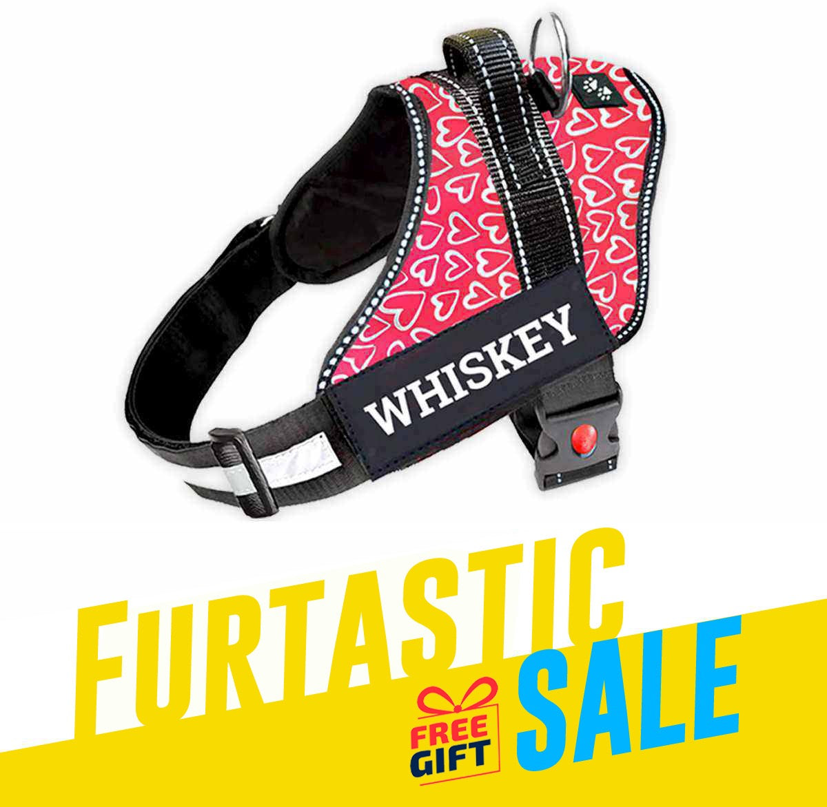 Personalized Dog Harness