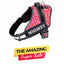 Personalized Dog Harness
