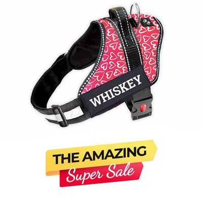 Personalized Dog Harness - VALENTINE