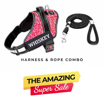 Personalized Dog Harness - VALENTINE
