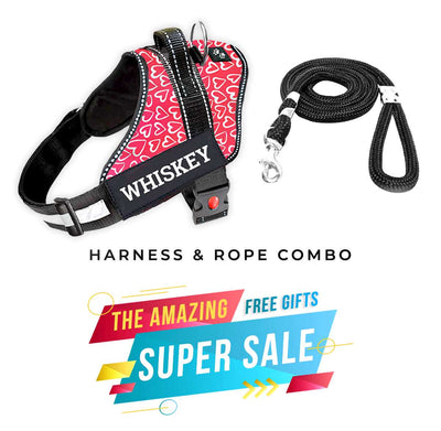 Personalized Dog Harness - VALENTINE