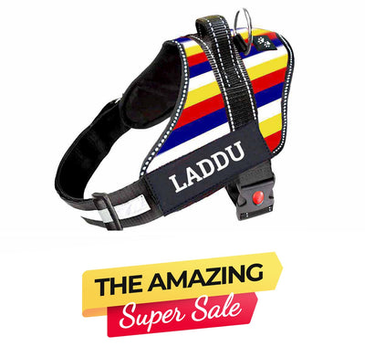 Personalized Dog Harness - VIBE STRIPES