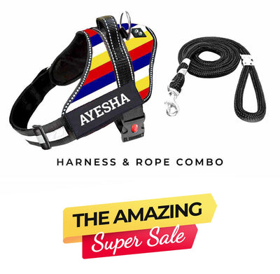 Personalized Dog Harness - VIBE STRIPES