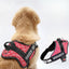Personalized Dog Harness