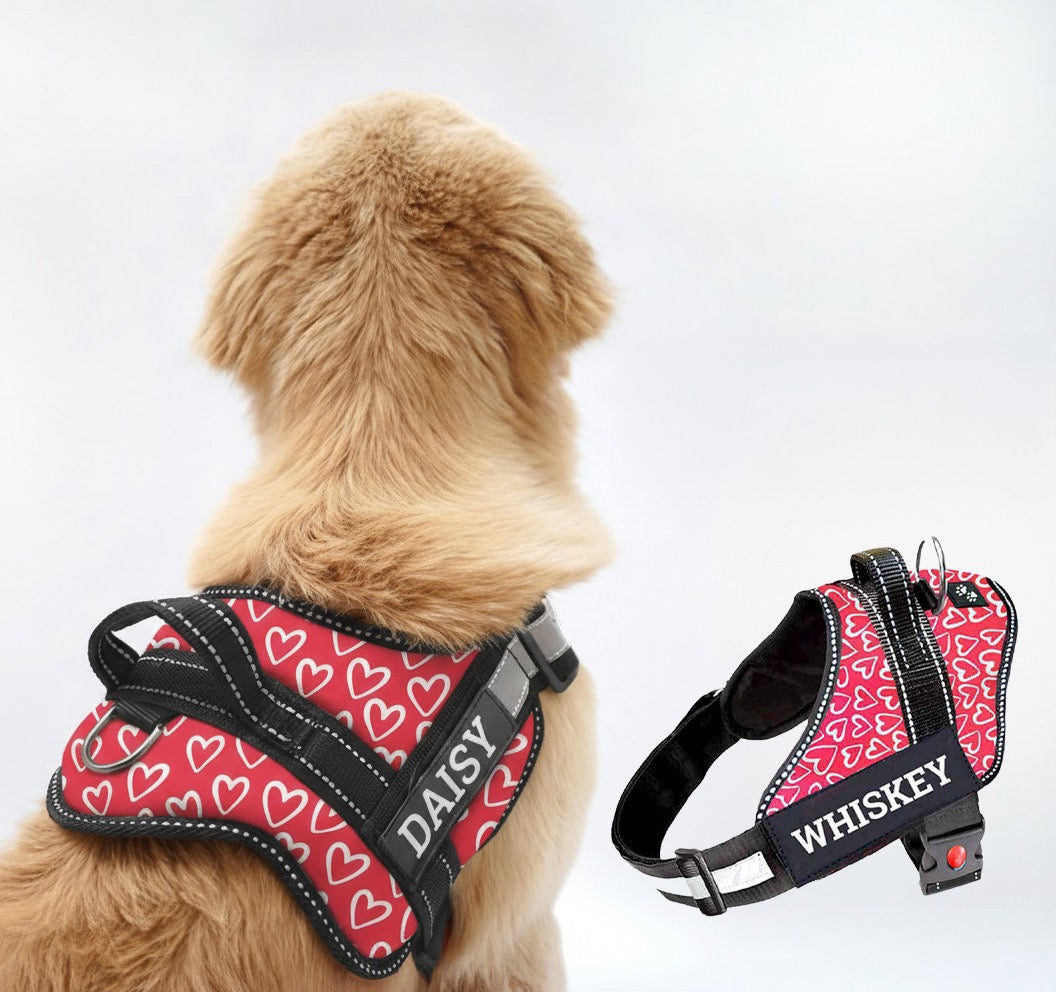 Personalized Dog Harness - VALENTINE