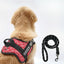 Personalized Dog Harness - VALENTINE