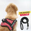 Personalized Dog Harness