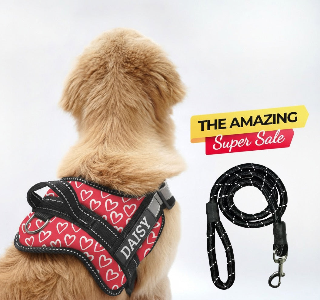 Personalized Dog Harness