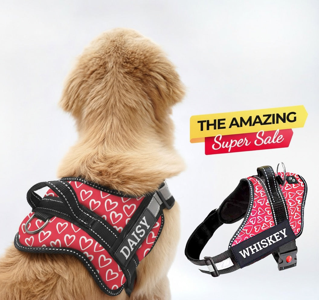Personalized Dog Harness - VALENTINE