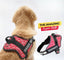 Personalized Dog Harness - VALENTINE