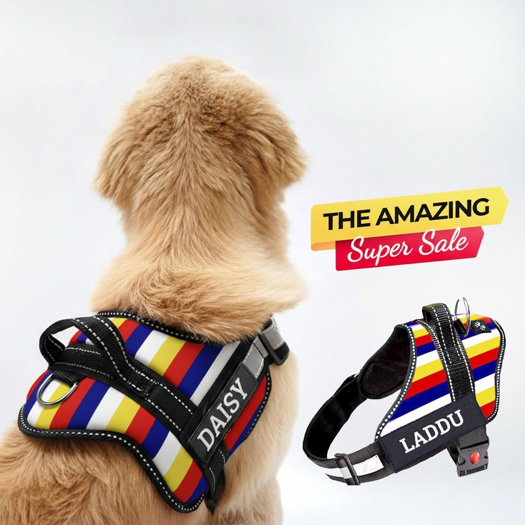 Personalized Dog Harness - VIBE STRIPES