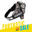 Personalized Dog Harness