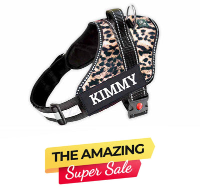 Personalized Dog Harness - WILD LEOPARD