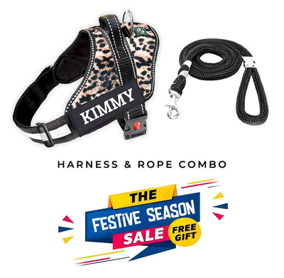 Personalized Dog Harness - WILD LEOPARD