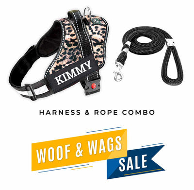 Personalized Dog Harness - WILD LEOPARD