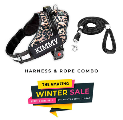 Personalized Dog Harness - WILD LEOPARD