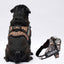 Personalized Dog Harness