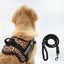 Personalized Dog Harness