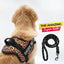 Personalized Dog Harness