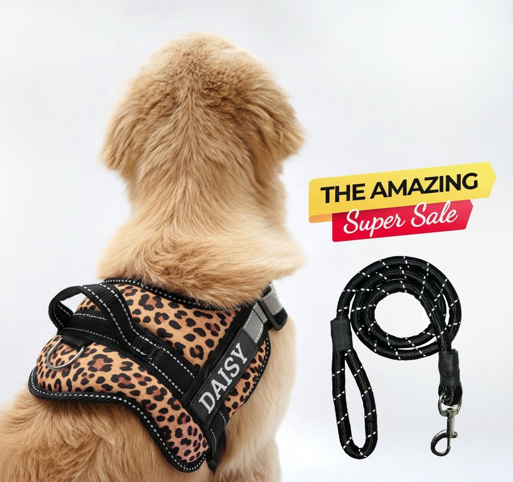 Personalized Dog Harness