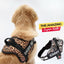 Personalized Dog Harness