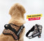 Personalized Dog Harness - WILD LEOPARD