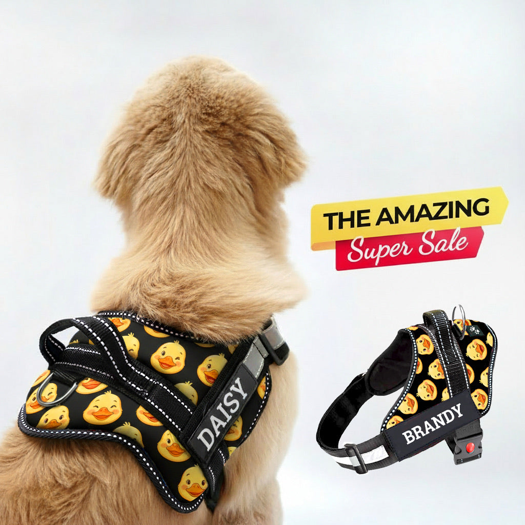 Personalized Dog Harness - What the DUCK...!