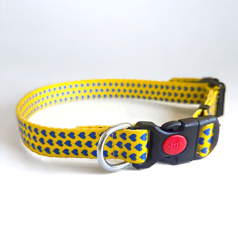 YELLOW LOVE Graphic Dog Collar and Leash Combo