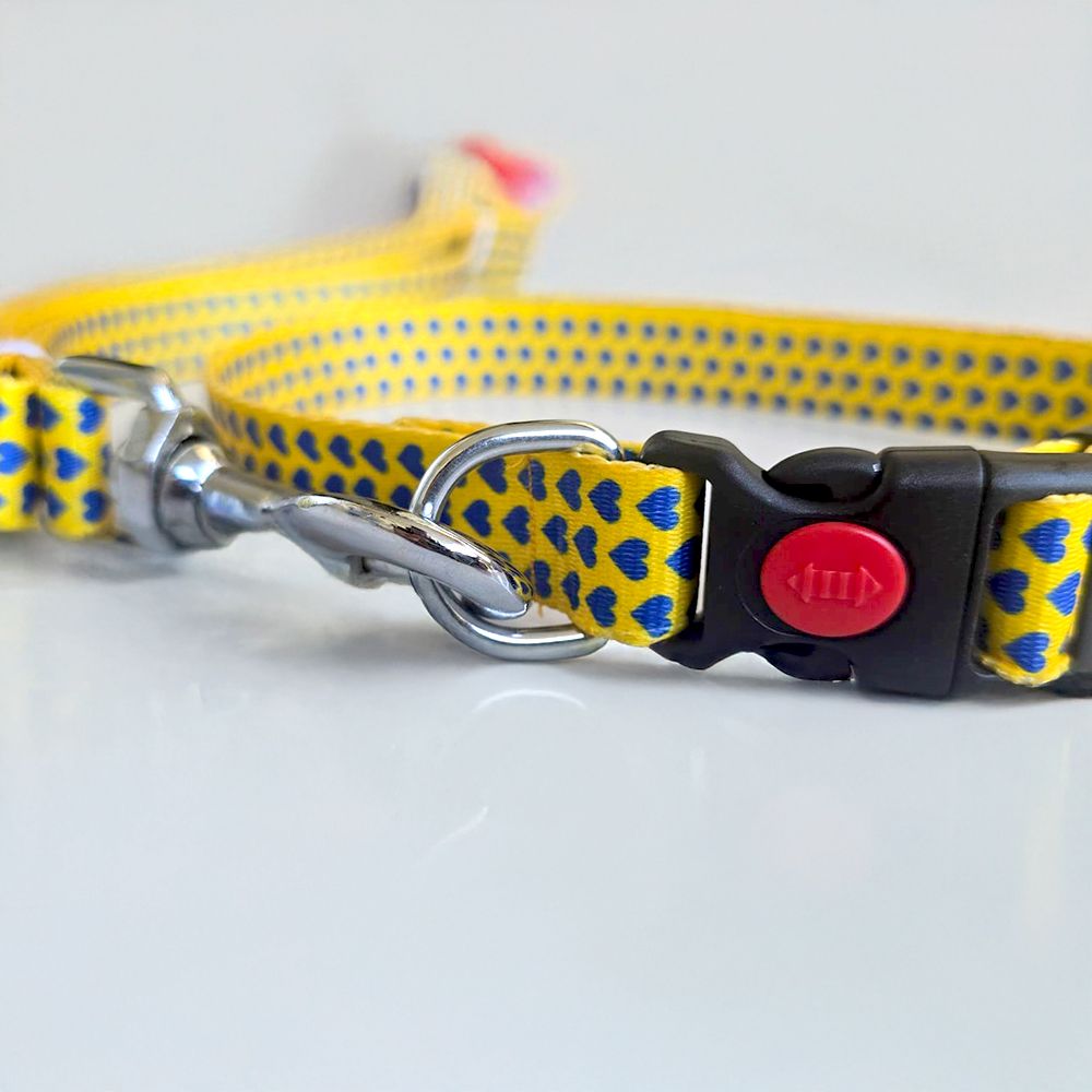 YELLOW LOVE Graphic Dog Collar and Leash Combo
