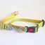 YELLOW LOVE Graphic Dog Collar and Leash Combo
