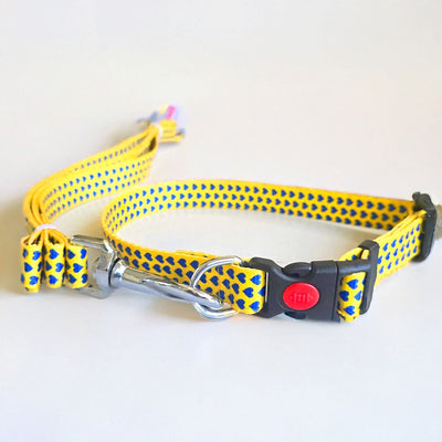 YELLOW LOVE Graphic Dog Collar and Leash Combo