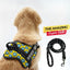 Personalized Dog Harness