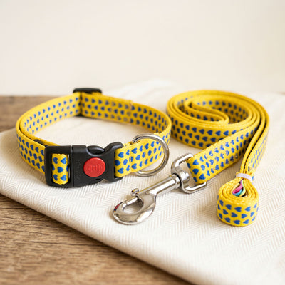 YELLOW LOVE Graphic Dog Collar and Leash Combo