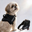 Personalized Dog Harness - BLACK