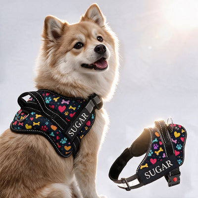 Personalized Dog Harness - CANINE CANVAS