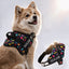 Personalized Dog Harness - CANINE CANVAS