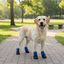 IndiHopShop Dog Shoes | Water Resistant | All Weather Use
