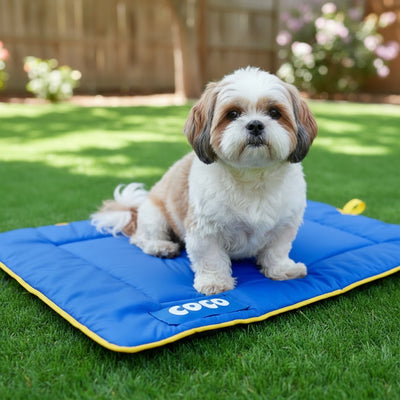 Personalized Comfy Dog Mat - BLUE