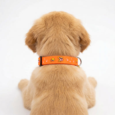 IndiHopShop Puppy Collar 15 MM - ORANGE