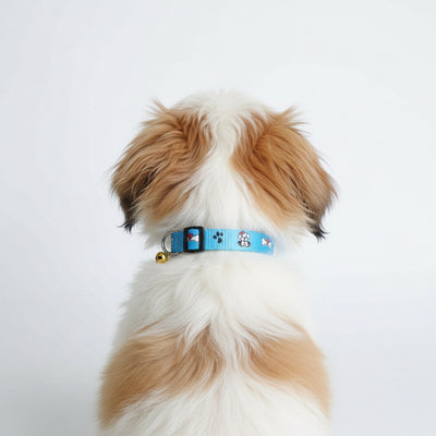 IndiHopShop Puppy Collar 15 MM - BLUE