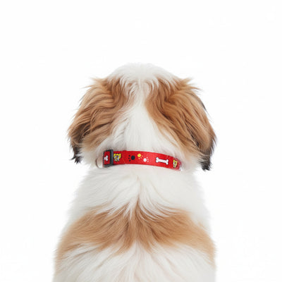 IndiHopShop Puppy Collar 15 MM - RED
