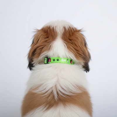 IndiHopShop Puppy Collar 15 MM - GREEN