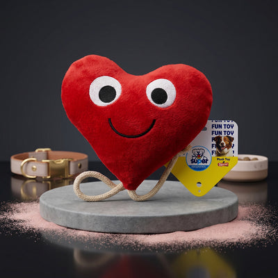 LoveBite Heart Squeaky Plush for Happy Chewers
