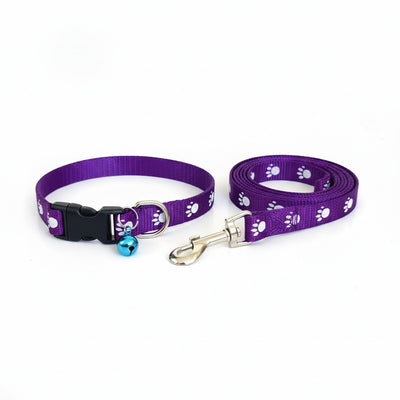 IndiHopShop Puppy Collar & Leash COMBO - 15 MM - PURPLE