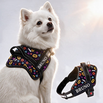 Personalized Dog Harness - FUNK IT UP!
