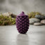 Rubber Pine Cone Dog Toy