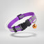 PURPLE Reflective Puppy Collar – 15mm