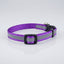 PURPLE Reflective Puppy Collar – 15mm