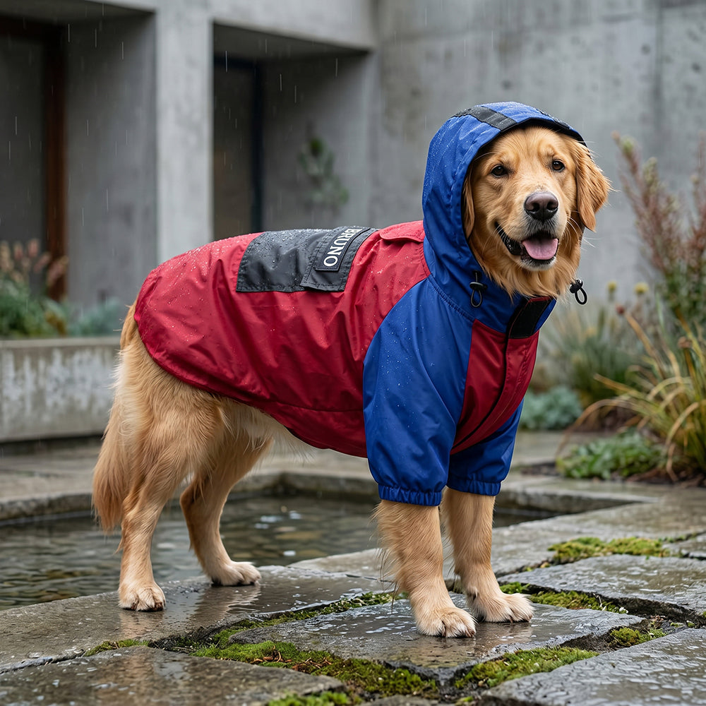 Personalized Dog Rain Jacket